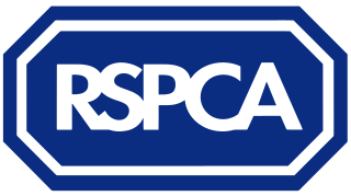HOK Consulting Proudly supports the RSPCA